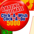 Flash Website